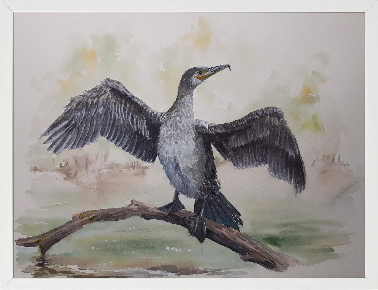 Cormorán. Acuarela 30x40 cm