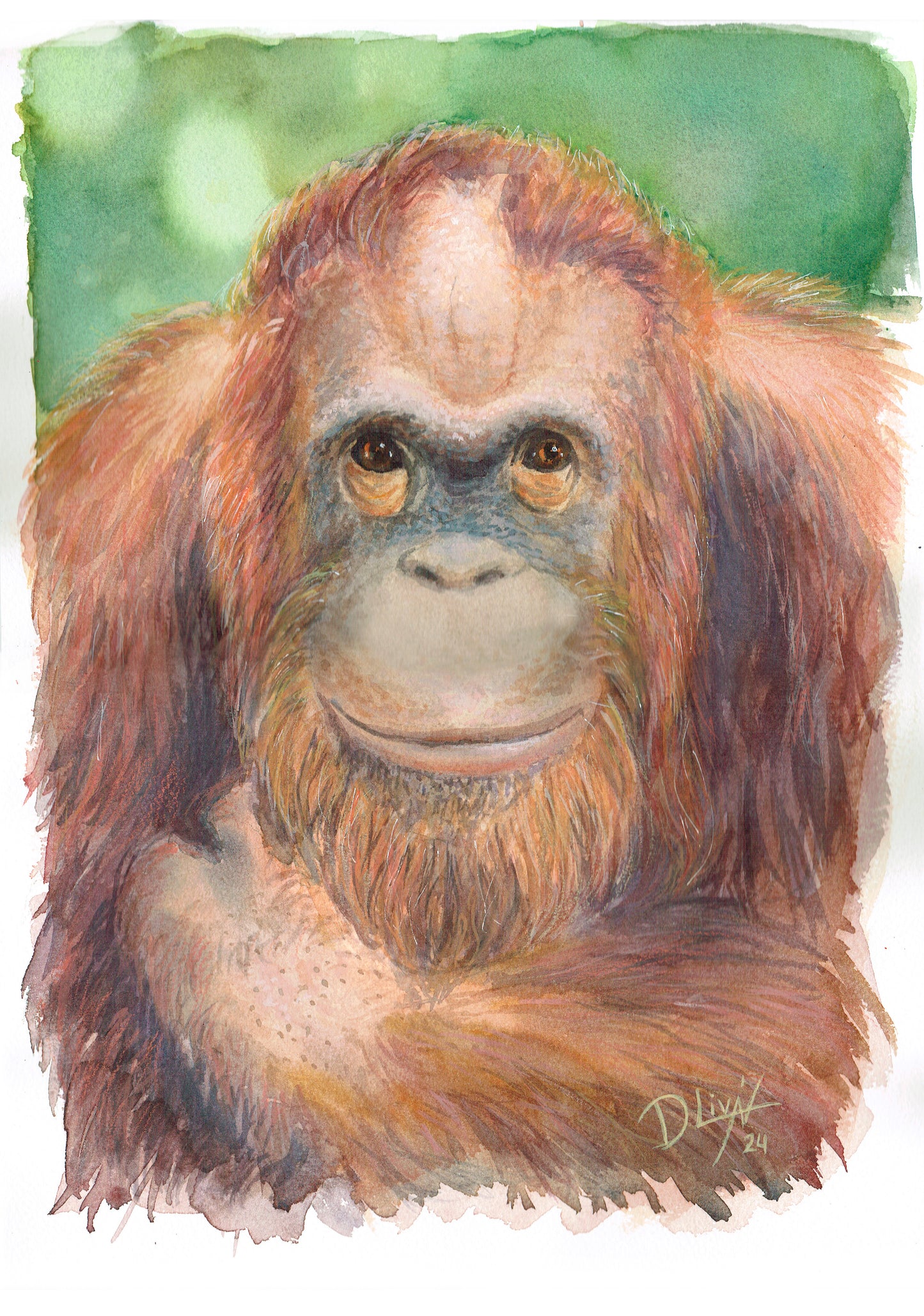Orangután 29,7x42 cm