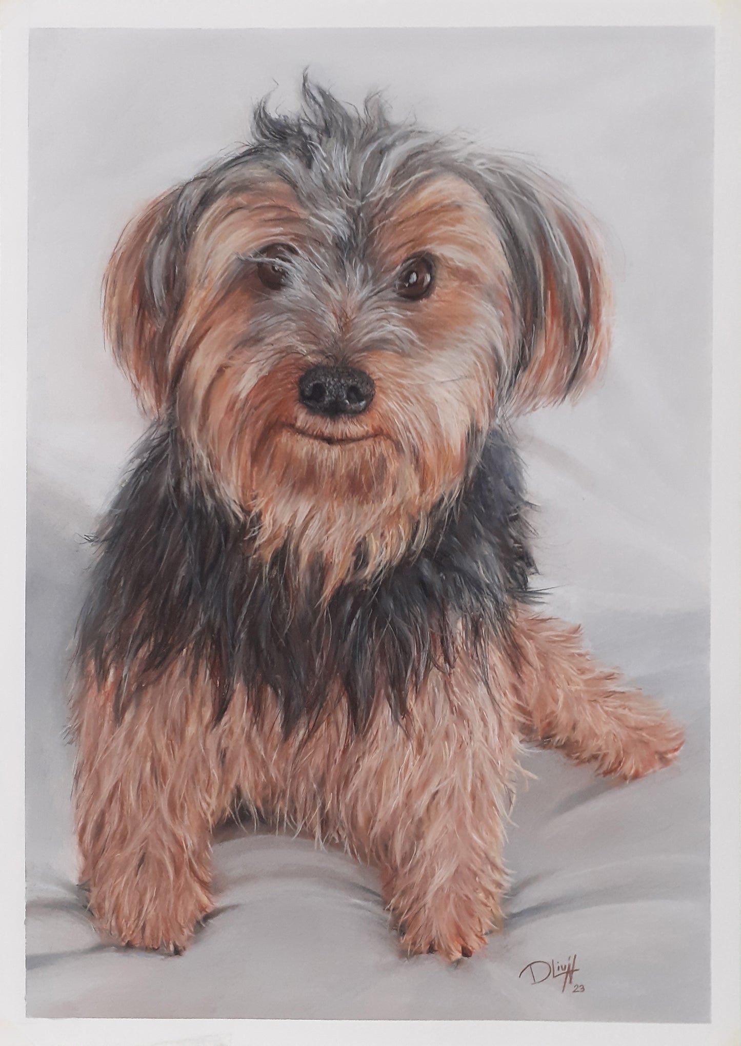 RETRATO DE TU MASCOTA