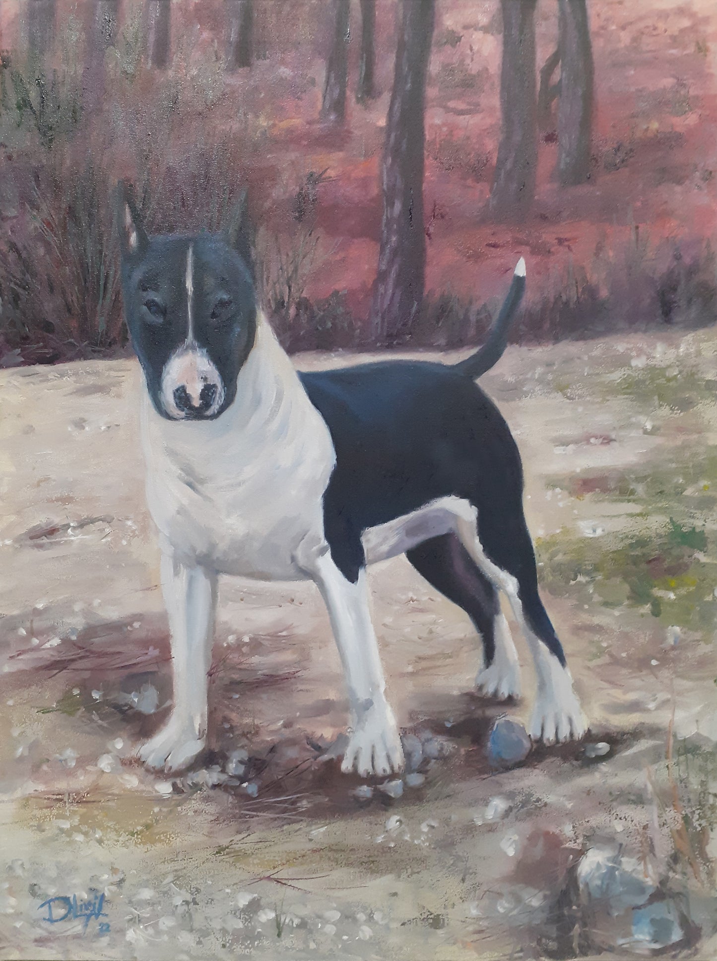 RETRATO DE TU MASCOTA