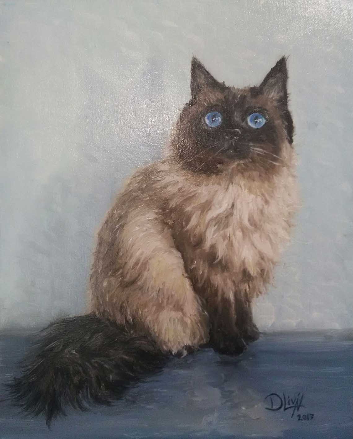 RETRATO DE TU MASCOTA