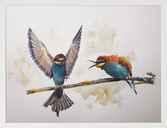 Abejarucos. Acuarela 30x40 cm