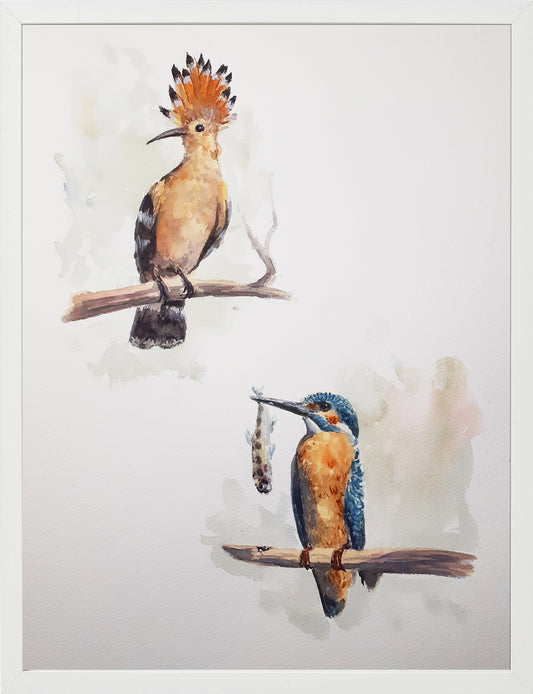 Abubilla y Martín pescador. Acuarela 30x40 cm