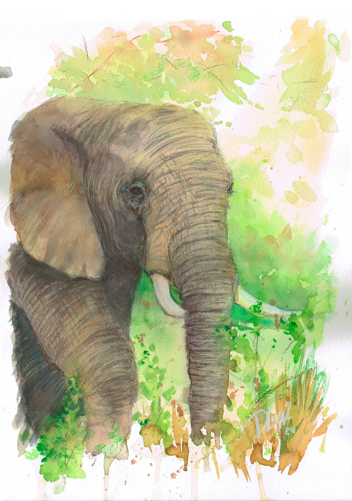 Elefante 29,7x42 cm