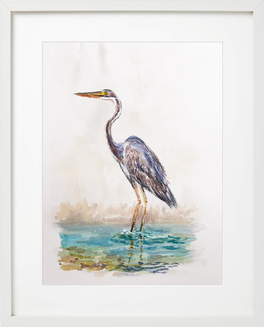 Garza Real. Acuarela 20x30 cm