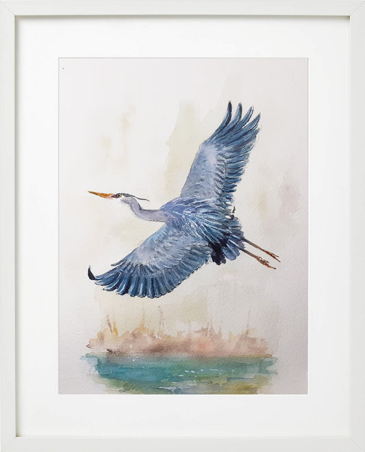 Garza Real Volando. Acuarela 20x30 cm