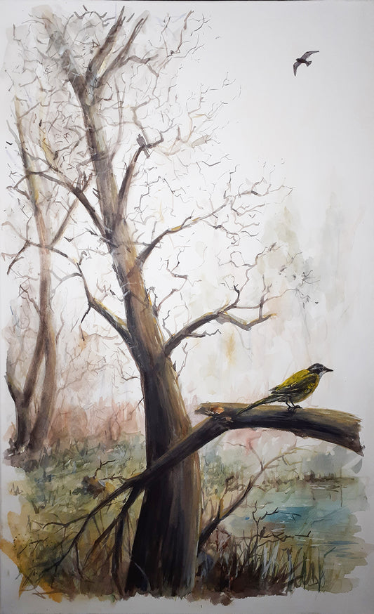 Lavandera. Acuarela 47x67 cm