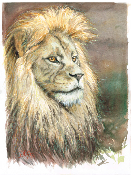 León 29,7x42 cm