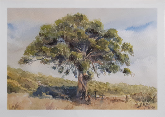 Pino Valdenavarro. Acuarela 46x32,5 cm. Vendida