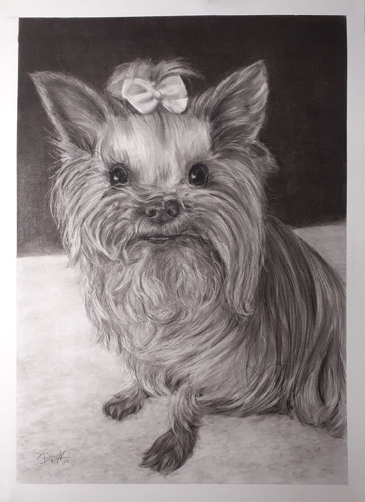 RETRATO DE TU MASCOTA
